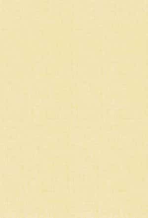 Rio 22 Casetat - imagine 3