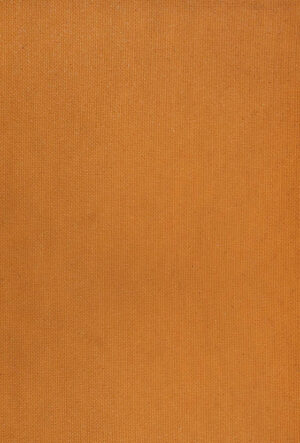 Rubino 1100 - imagine 3