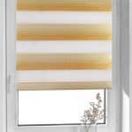 Day and Night elite-t15