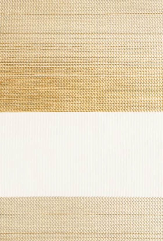 Day and Night elite-t15-textura