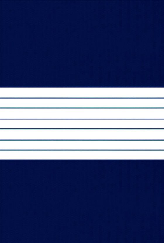 Day and Night plaine-crown-blue textura