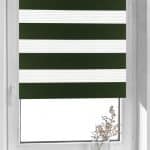 Day and Night rulouri plaine-forest-night