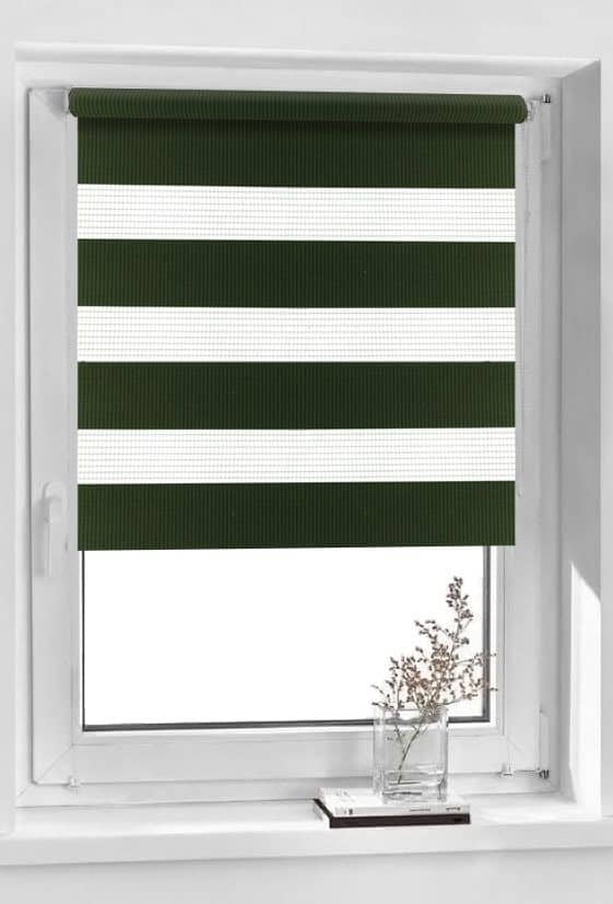 Day and Night rulouri plaine-forest-night