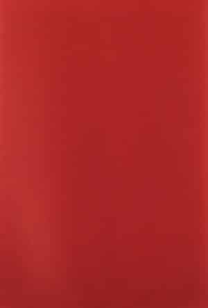 Plaine 505 Casetat - imagine 3