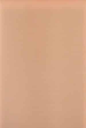 Plaine 523 Casetat - imagine 3