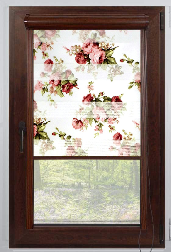 decor-16-d&n-casetate-nuc